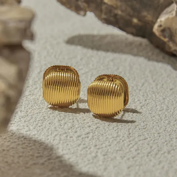 Golden_Stainless_Steel_And_Hypoallergenic_Coating_Earrings_For_Women